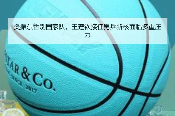 樊振东暂别国家队，王楚钦接任男乒新核面临多重压力